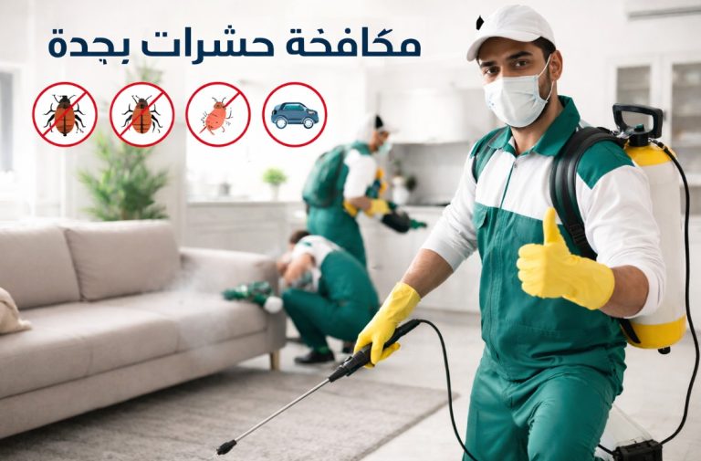 شركة مكافحة حشرات بجدة